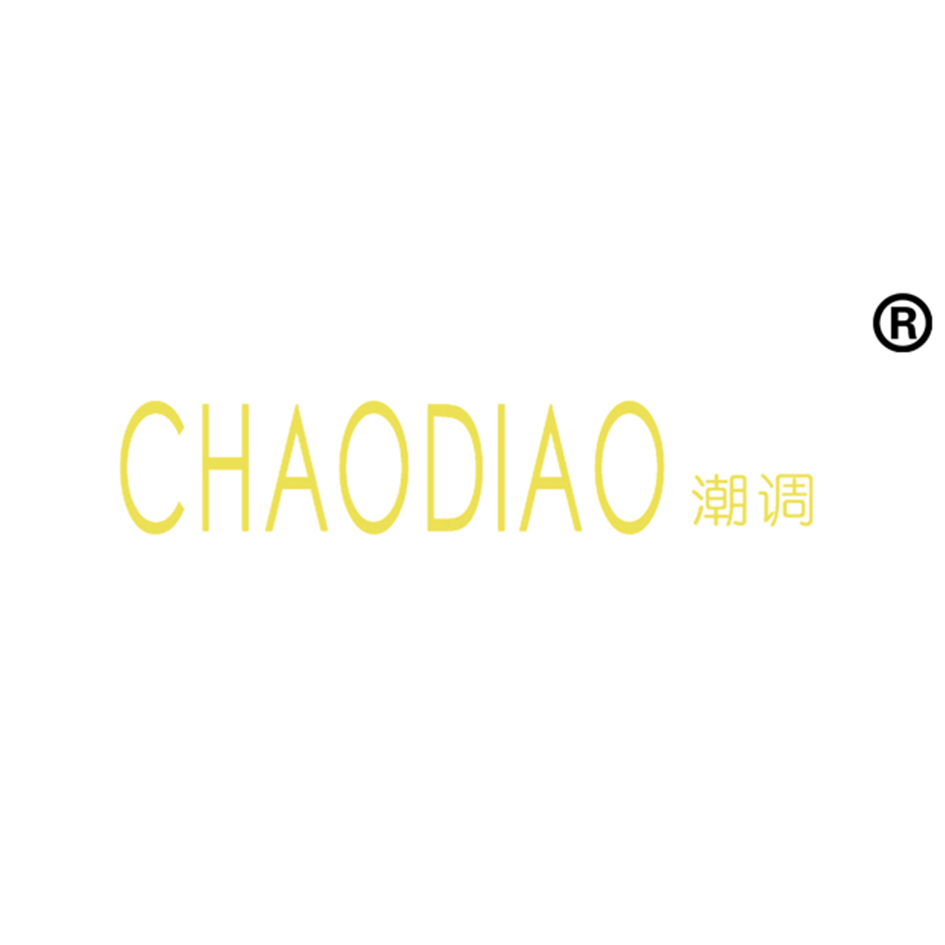 潮调CHAODIAO